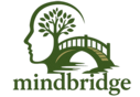 Mindbridge LLC.